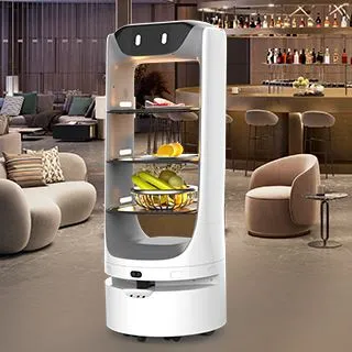 Autonomous Delivery Robot